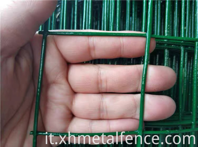 Holland Wire Mesh Fence